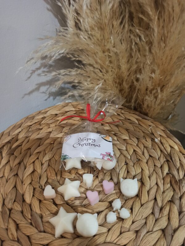 Χειροποίητα Wax melts "Christmas" από κερί σόγιας σε σακουλάκι και κάρτα με τις δικές σας ευχές ως δώρο για τους αγαπημένους σας.  Στα αρώματα και στα χρώματα που επιθυμείτε! Η συσκευασία περιέχει 6 τεμάχια wax melts.